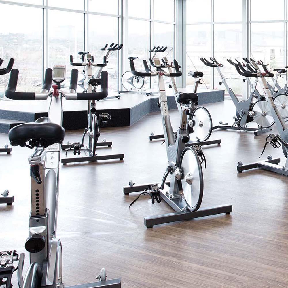 cycle studio